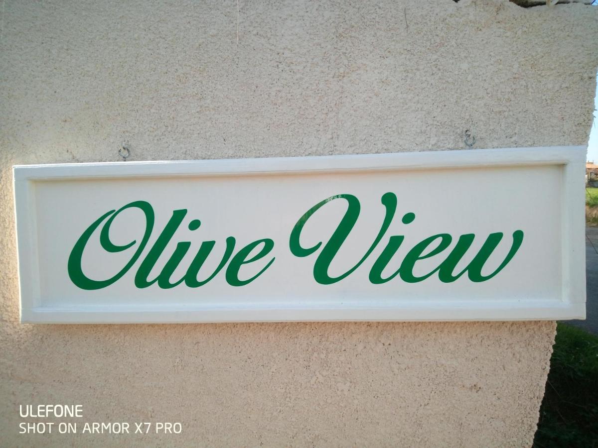 Olive View Villa Puissalicon Kültér fotó
